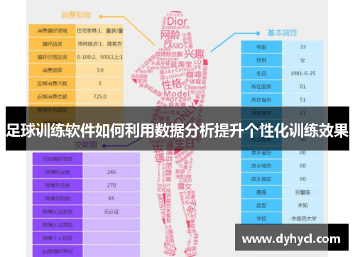 足球训练软件如何利用数据分析提升个性化训练效果